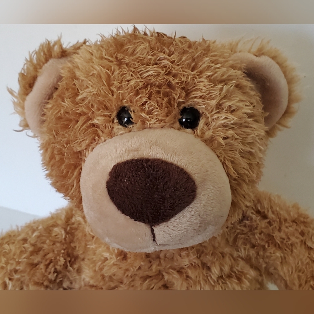 Build-A-Bear BAB 2010 Tan Light Brown Shaggy Plush Bear Stuffed Animal - EUC